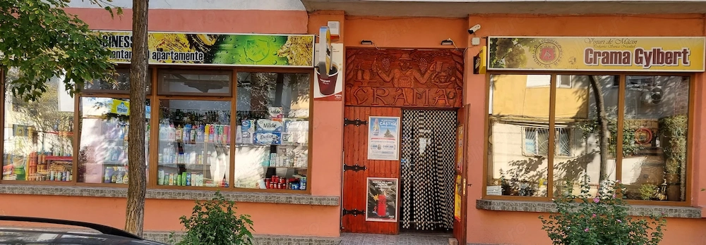 Vand spatiu comercial -89mp-stradal