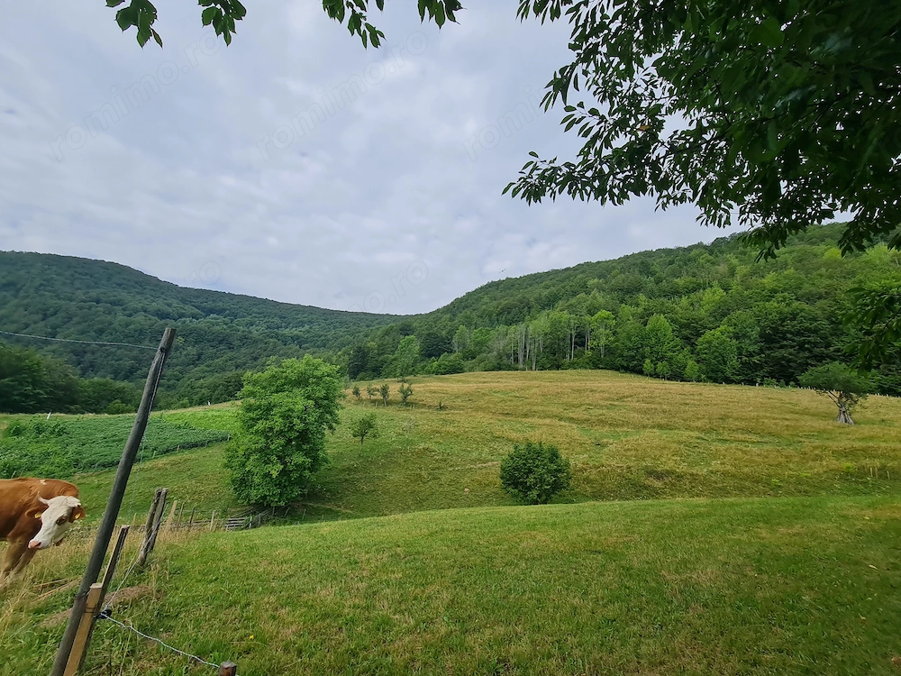 Teren de vânzare cu casă în Apuseni