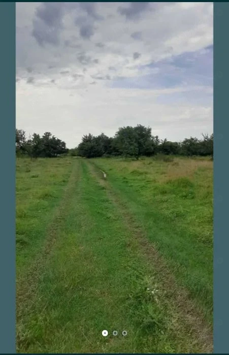 Teren extravilan 