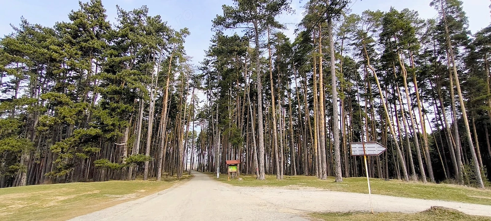 Săcele - Poiana Angelescu, teren intravilan langă pădure.