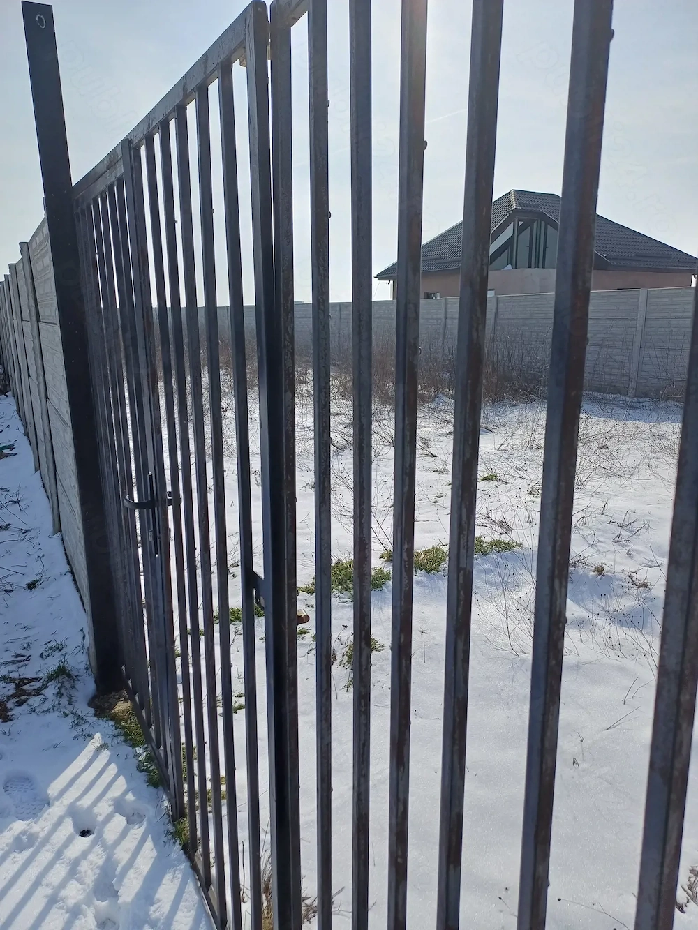 Adunații Copăceni,