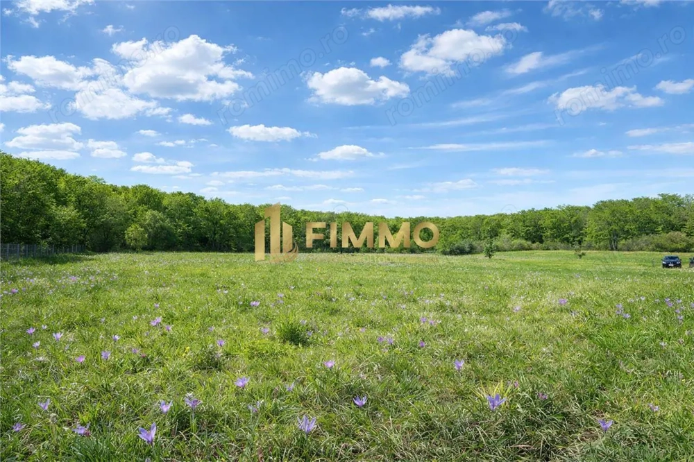 Teren langa padure | 21 ari | Intravilan | Dragomirna | ID:1686