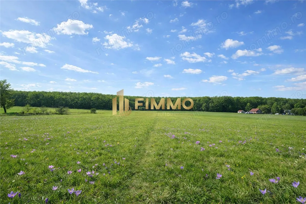 Teren langa padure | 32 ari | Dragomirna | ID:1688