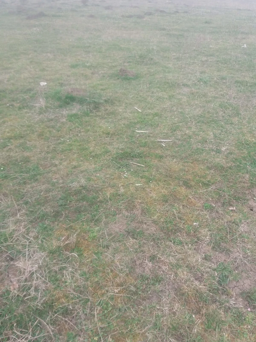 Teren intravilan, Cristian 1500mp