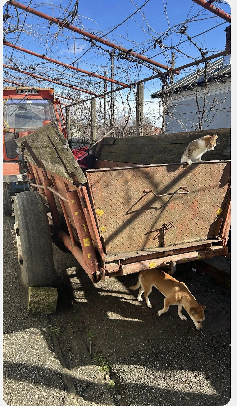 Plug cu trei brazde+ remorcă basculabila 