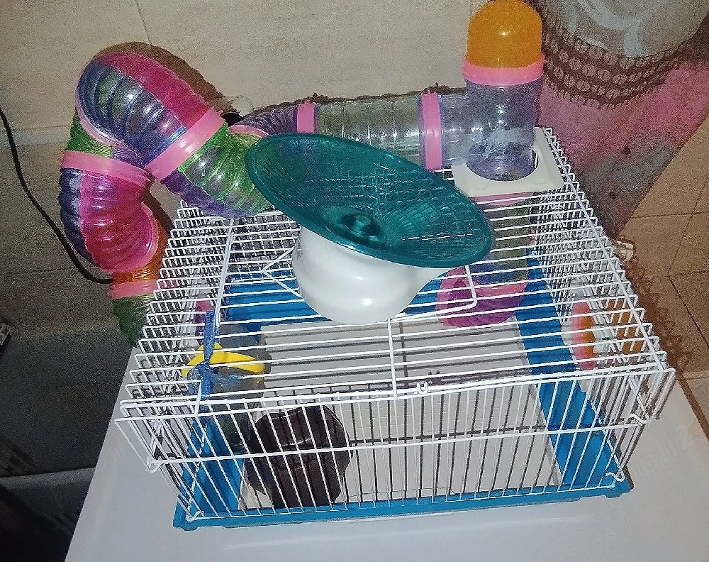 cusca hamster completa cu 2 roti si fan si mancare 