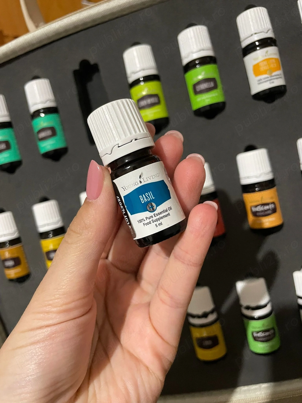 Ulei basil Young Living 5 ml - 100% Natural, NOU SIGILAT