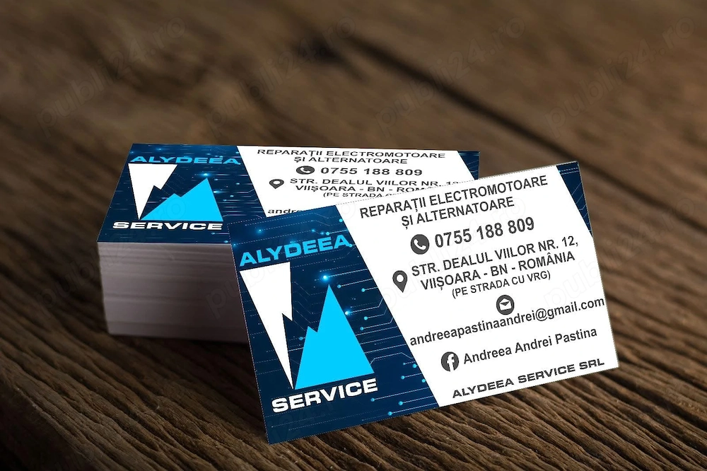 Reparații electromotoare și alternatoare