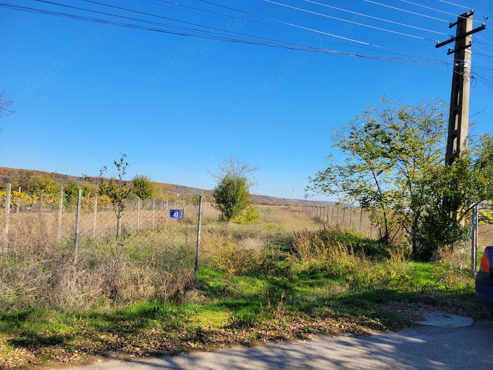 Teren Leordeni Argeș 2363mp 