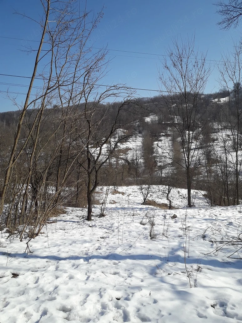 Teren construibil 2.575 m2 Brebu Manastirii