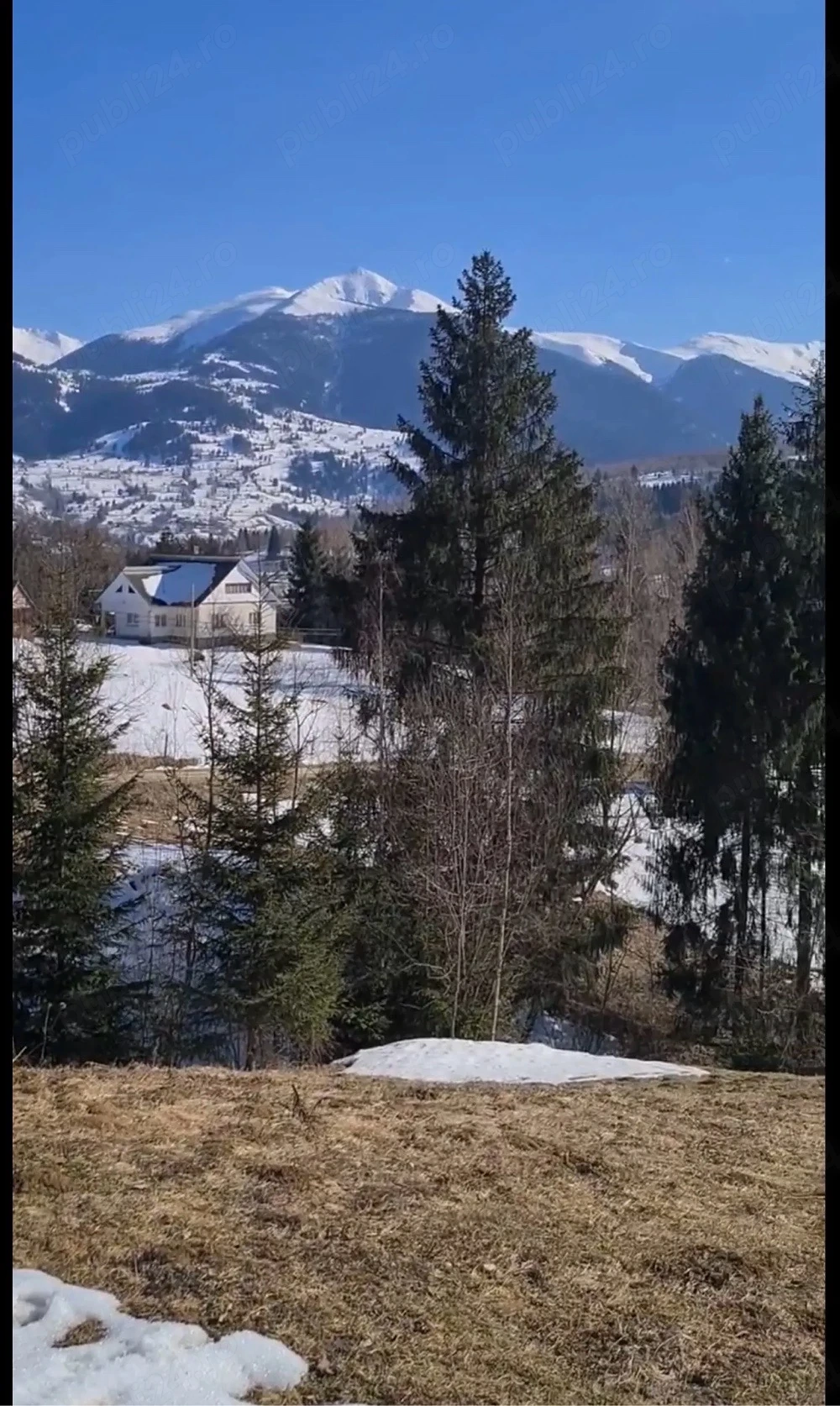 Teren intravilan Borșa MM