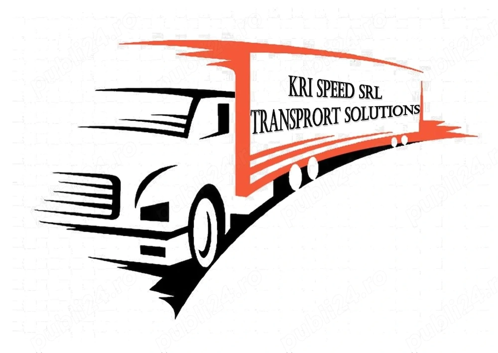 Sofer profesionist tur - retur