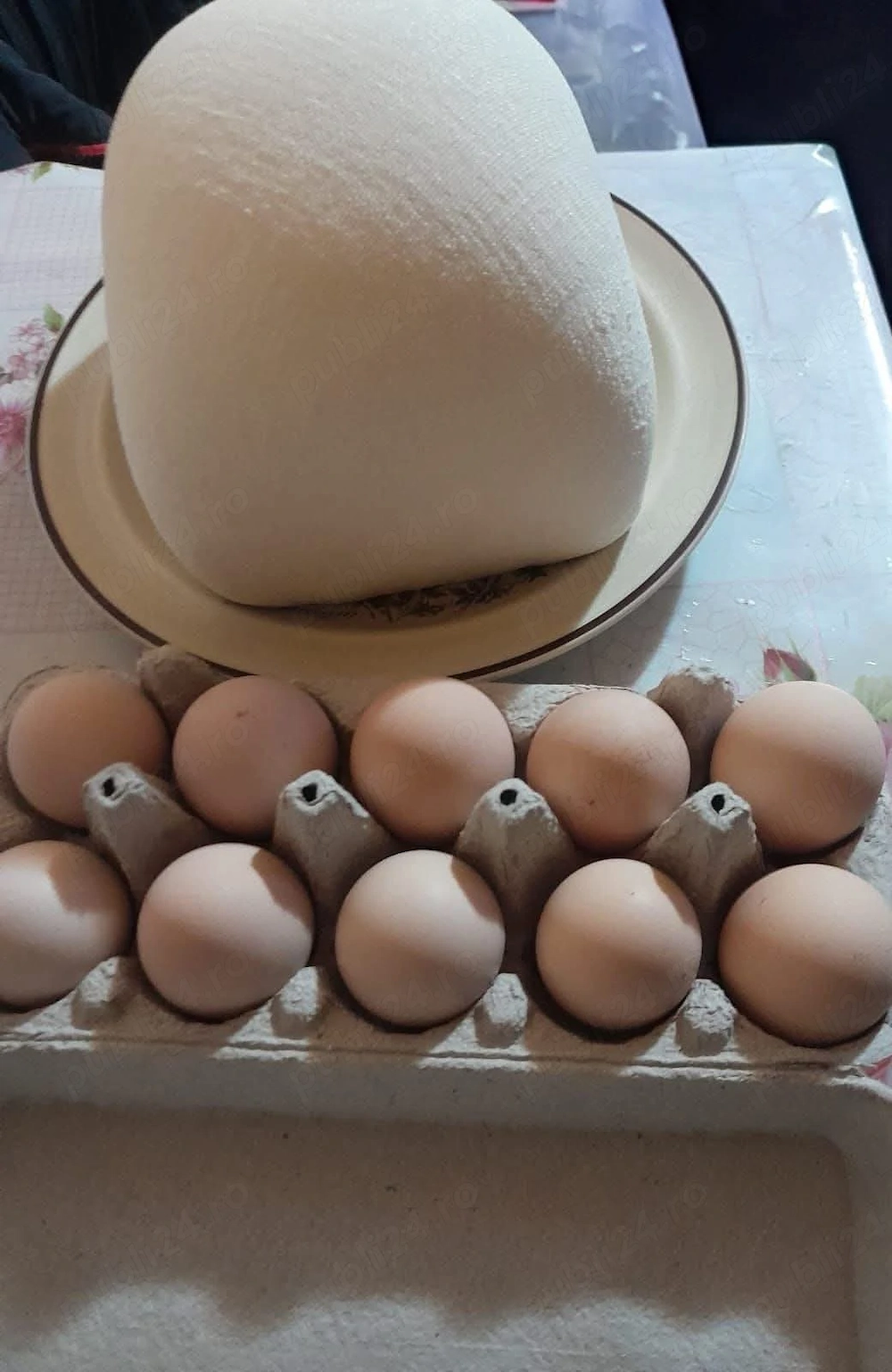 Caș dulce de capră, telemea sărată de capră, lapte de capră, ouă de casă de vânzare.  