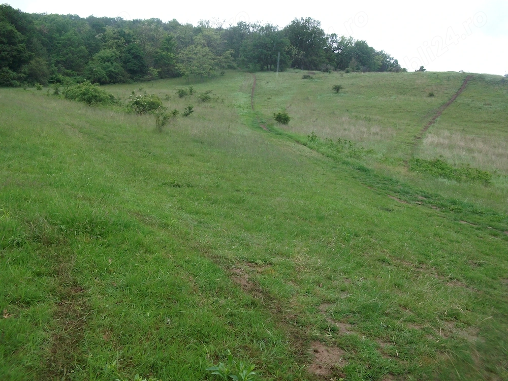 Teren de vanzare intravilan in Vintu 