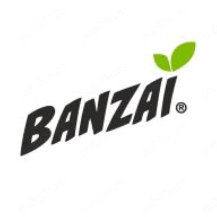 Angajam Agent vânzări   domiciliu preferat Miercurea Ciuc, județul Harghita