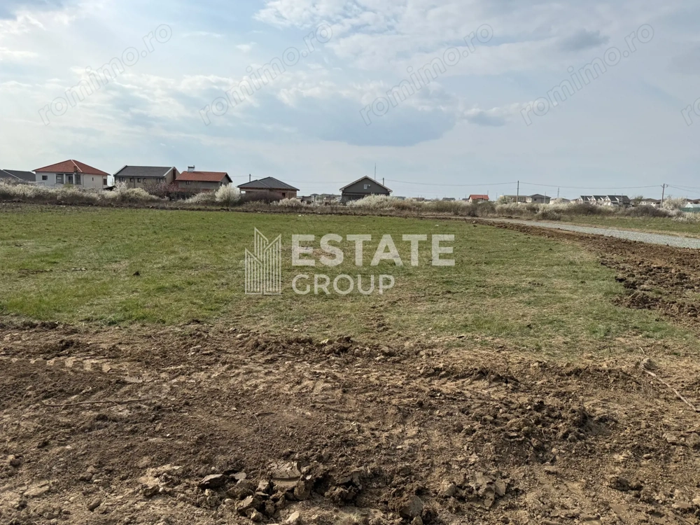 Mosnita Noua, front stradal 22 ml