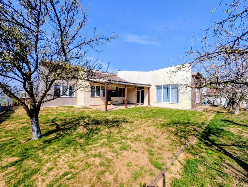 Casa unde copii cresc liberi: Povestea de pe strada Marin Sorescu