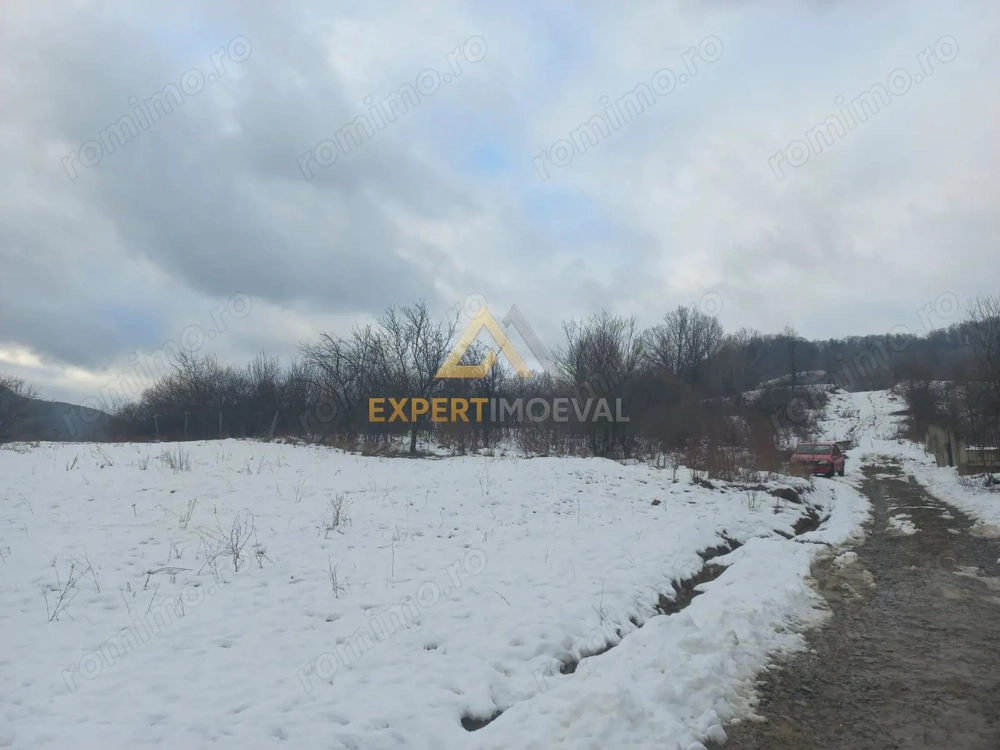 Teren intravilan Baia Sprie 815 mp