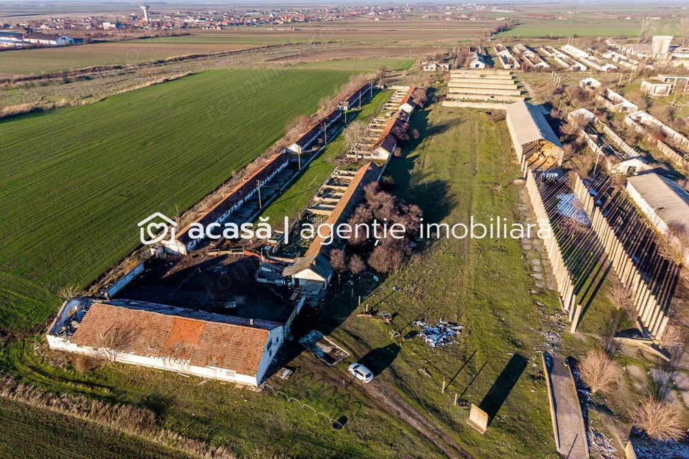 NĂDLAC | Teren 1.15 HA lângă Autostradă | 2.500mp Hale