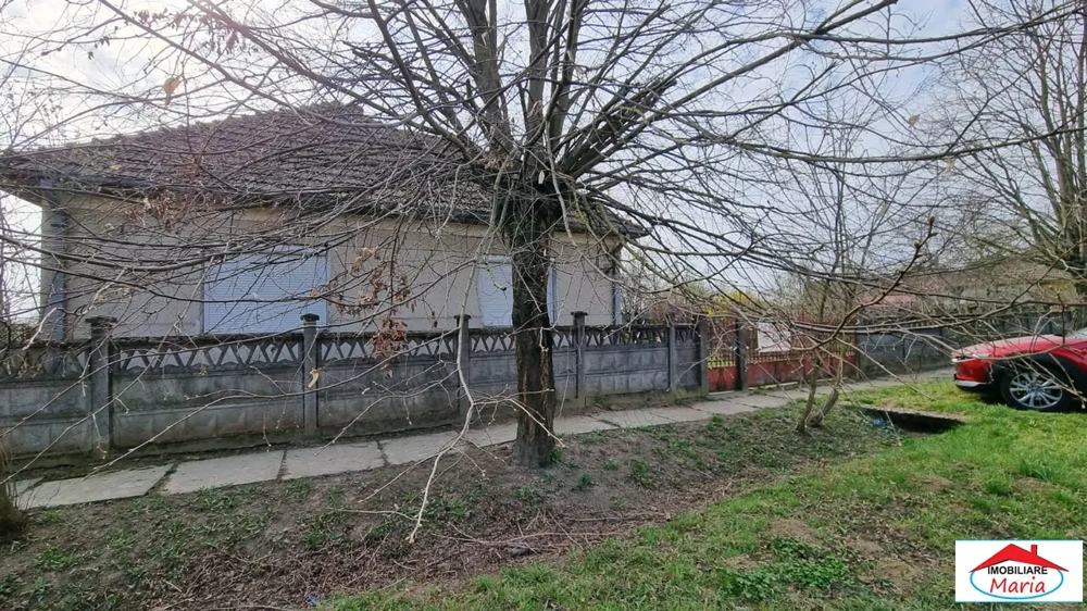 Casa in Micula cu teren 34 arii