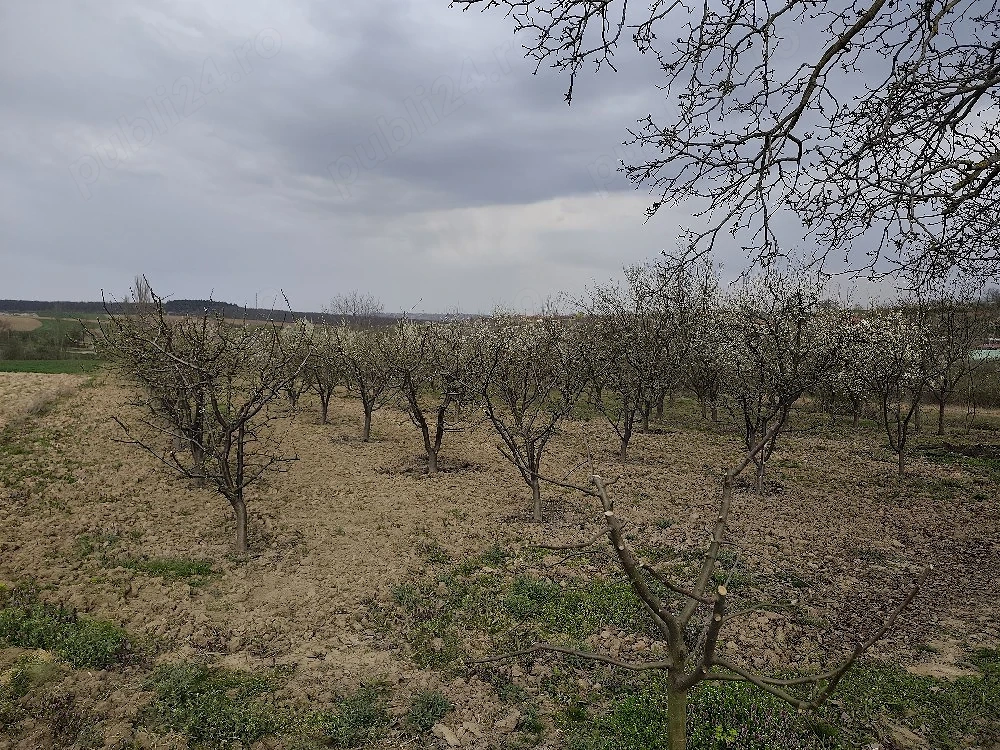 Vand teren intravilan