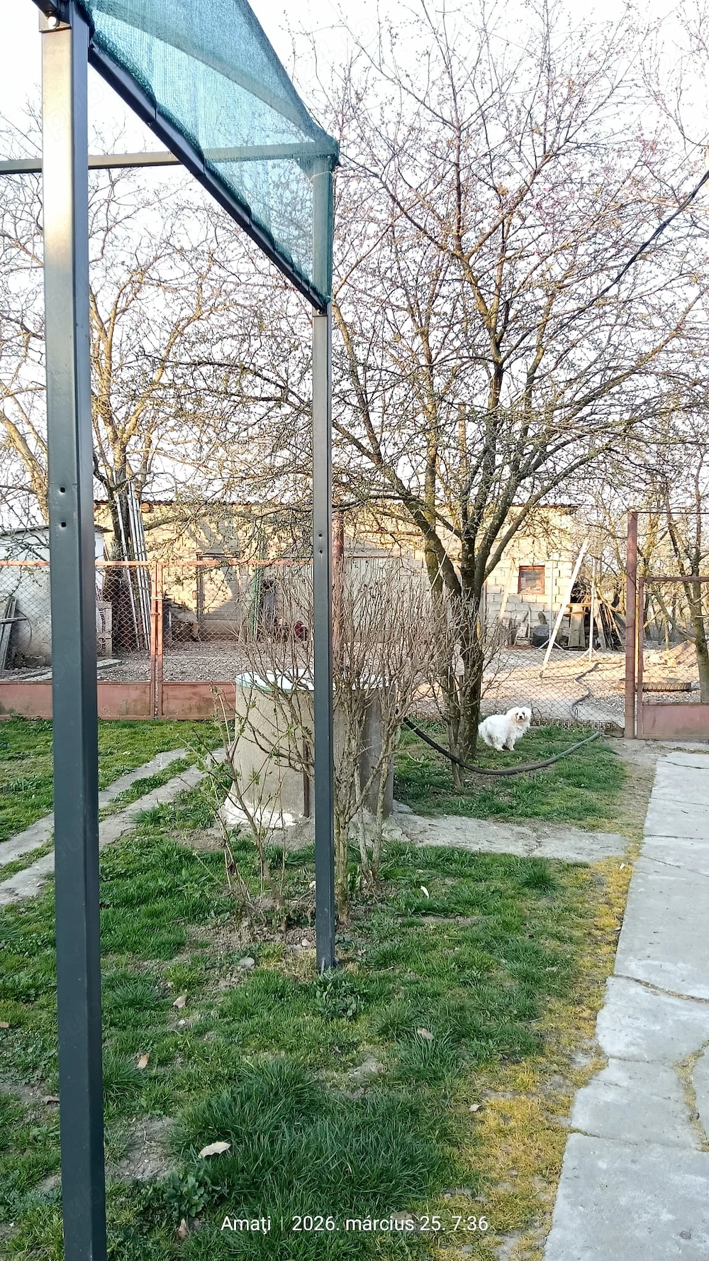 Vând Casă in Amati Stradă Principală. Mai multe detalii la telefon