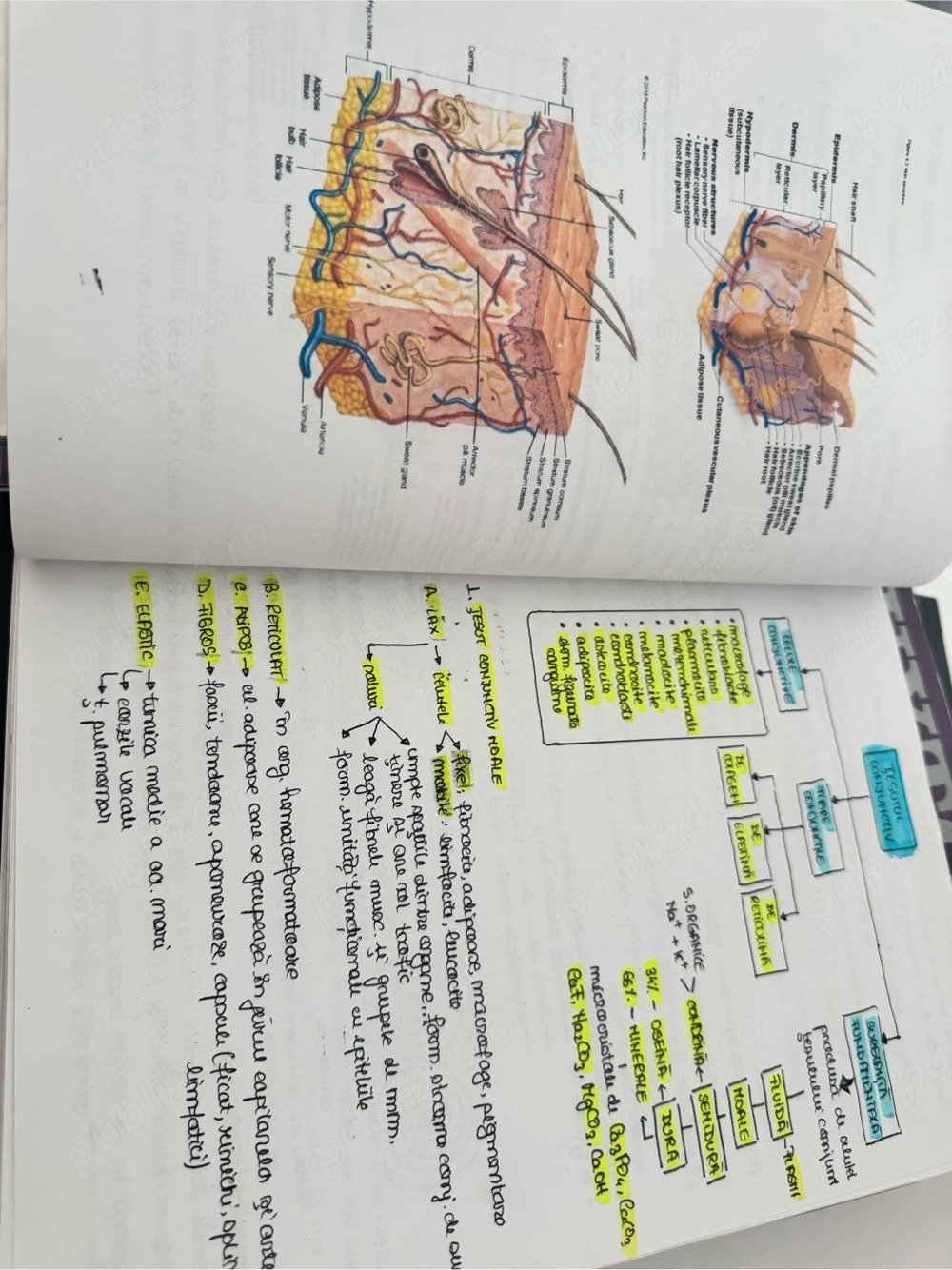 portofolii admitere medicina (corint si barrons) 