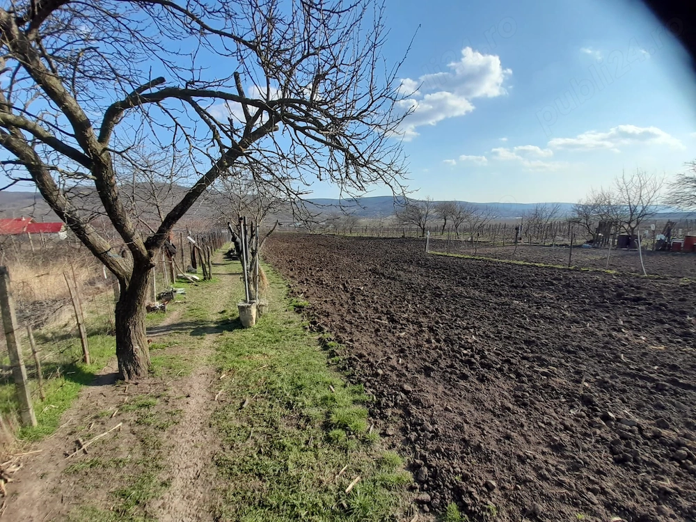 Teren intravilan de vanzare