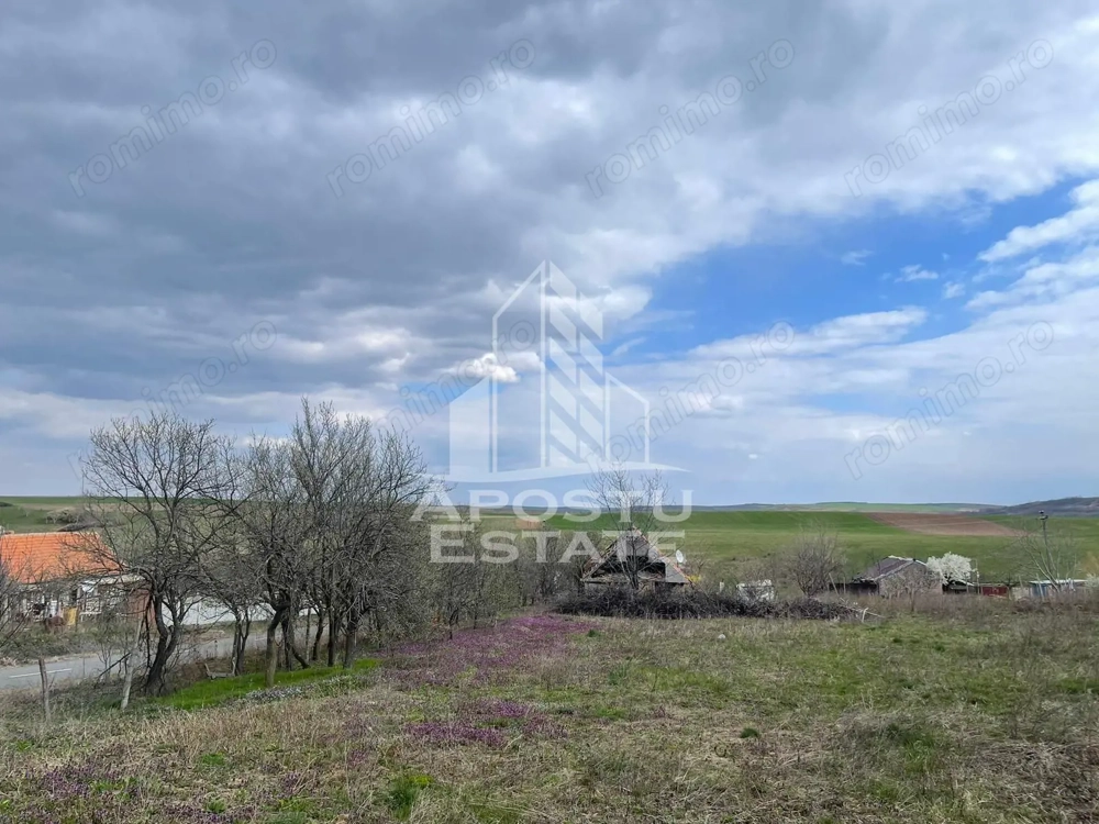 Teren intravilan pentru investitie, 2896 mp, Herneacova Timis