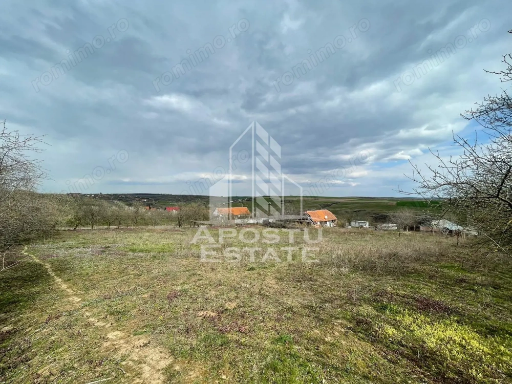 Teren intravilan pentru investitie, 2896 mp, Herneacova Timis