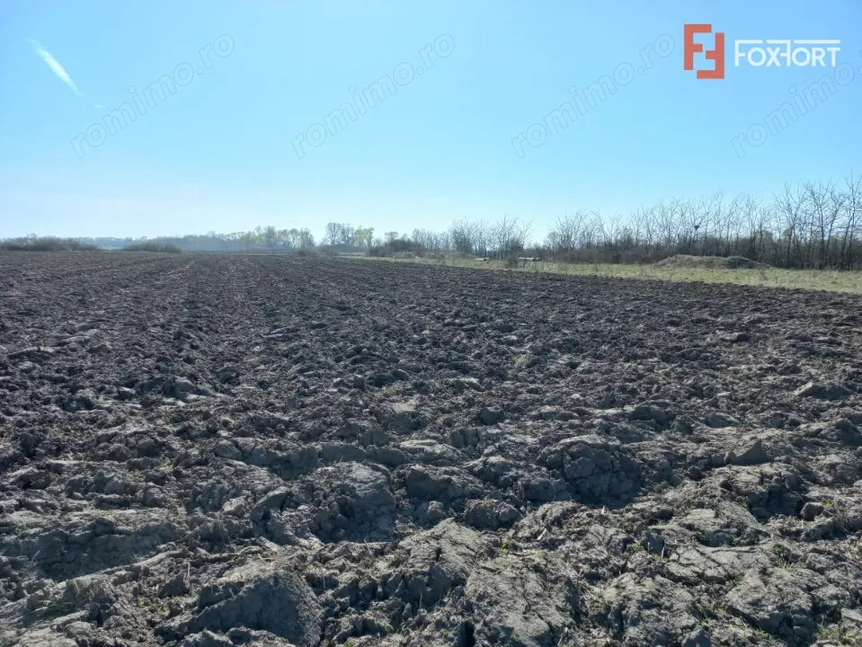 Teren intravilan – oportunitate investitie – Remetea Mare, langa Bega