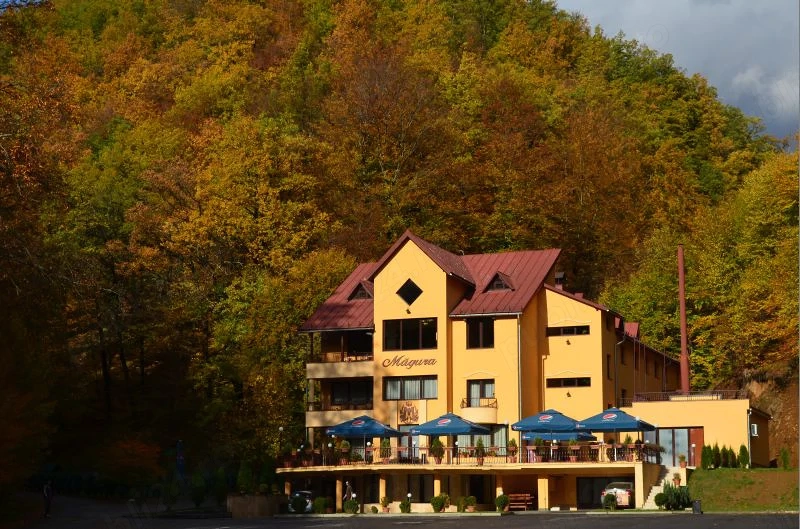 Pensiunea Magura Baia Mare  angajeaza Ajutor bucatar