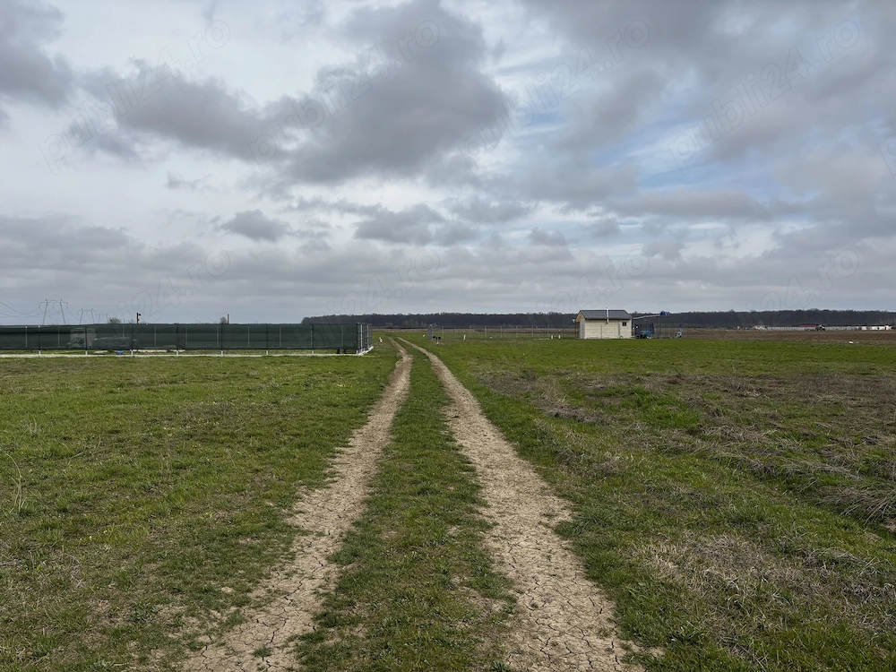 Loturi Teren Intravilan 538mp Sabareni