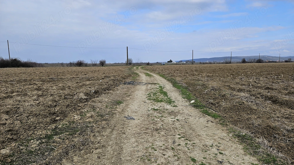 Teren de luncă - Leordeni Arges