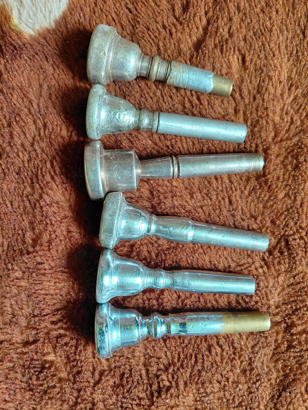 Mustiucuri trompetă