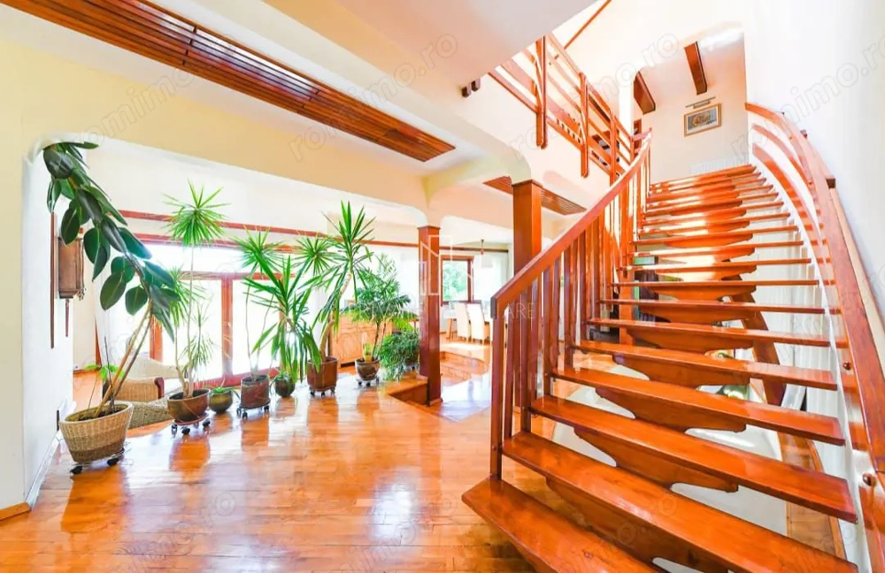 Vila/Proprietate Speciala, 500mp utili, 3300mp teren, Sangeorgiu de Ms