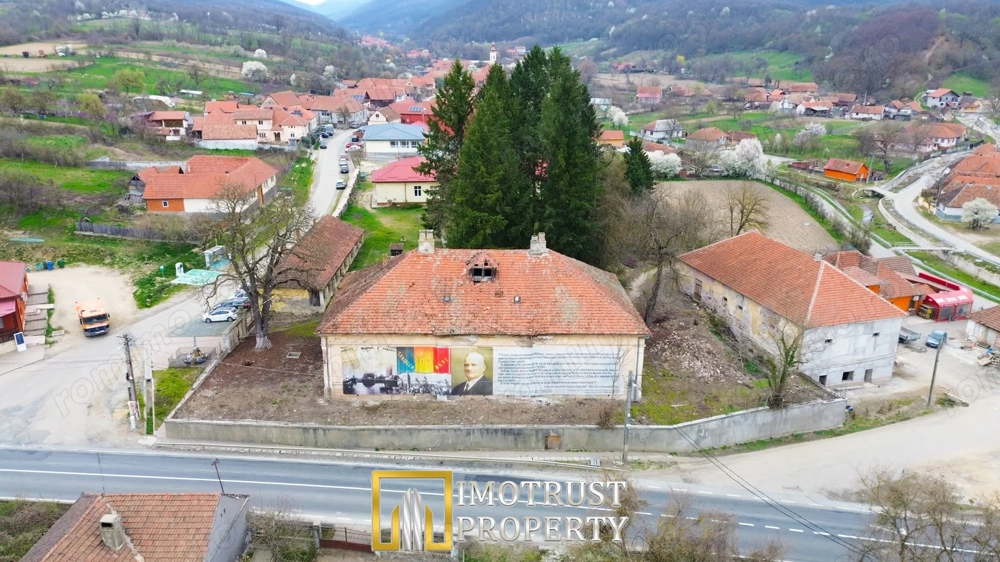 Castel de vânzare în Conop | 651 mp | 24 camere | 2.655 mp
