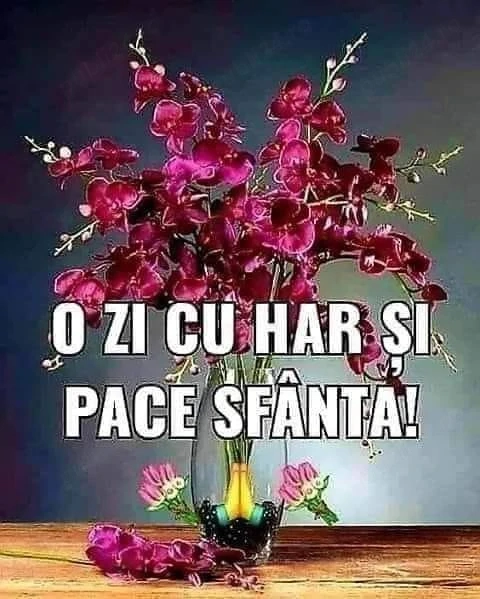 Colaborare part time MANAGER Proiect UNIC -de acasa CRAIOVA Franciza