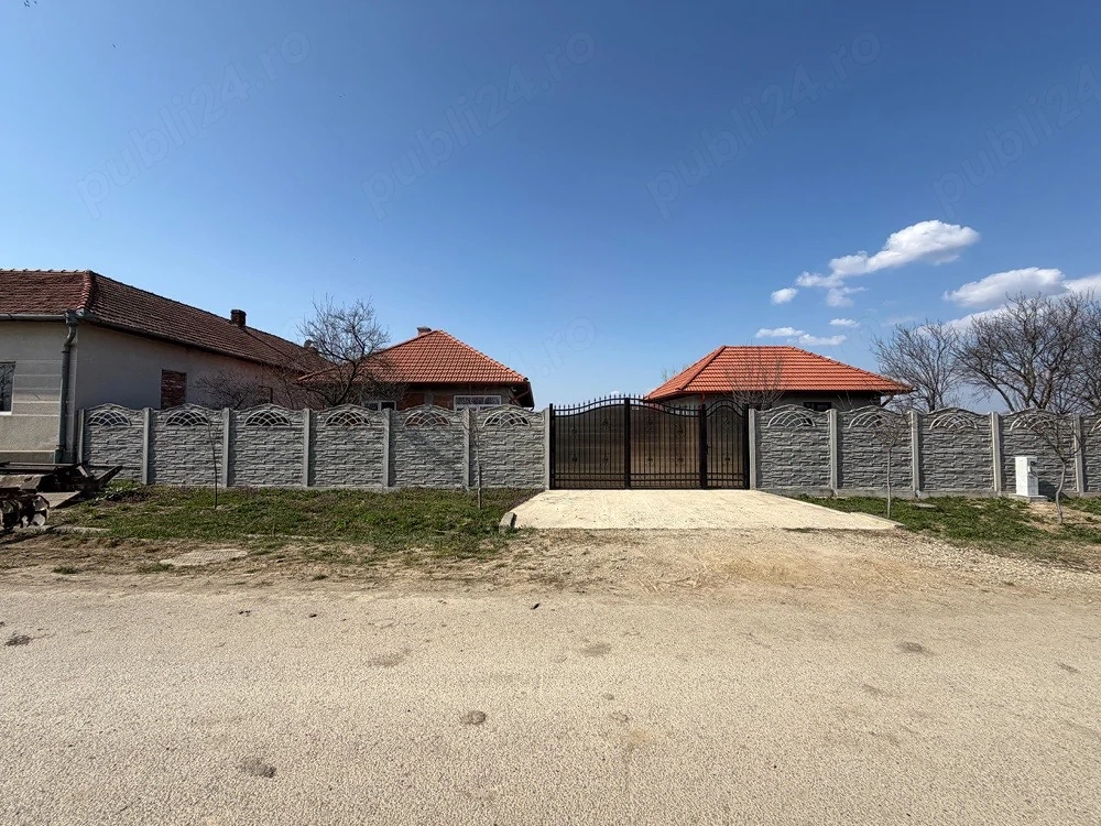 Casă Spațioasă cu Teren Generos   Sudriaș, Com. Traian Vuia