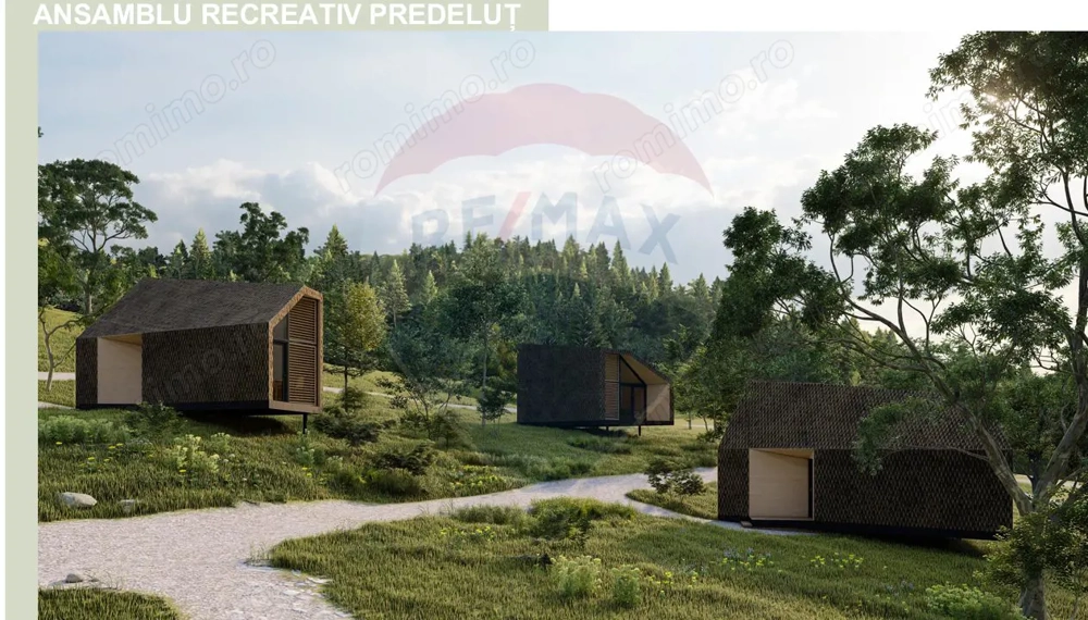 10.51 Euro + TVA / mp: Teren Bran Predelut, 24.253 mp, intravilan