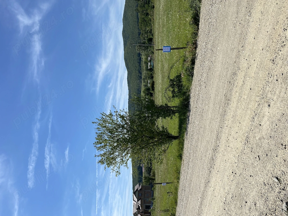 Ofertă loc de casă intravilan in Petresti 