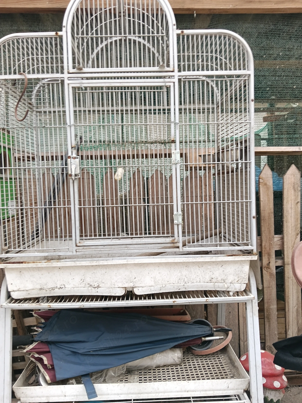 Vind voliera pt papagali