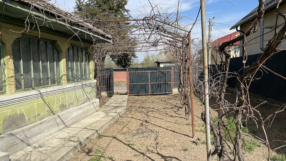 Vând casă bătrânească în Ciolpani jud ilfov