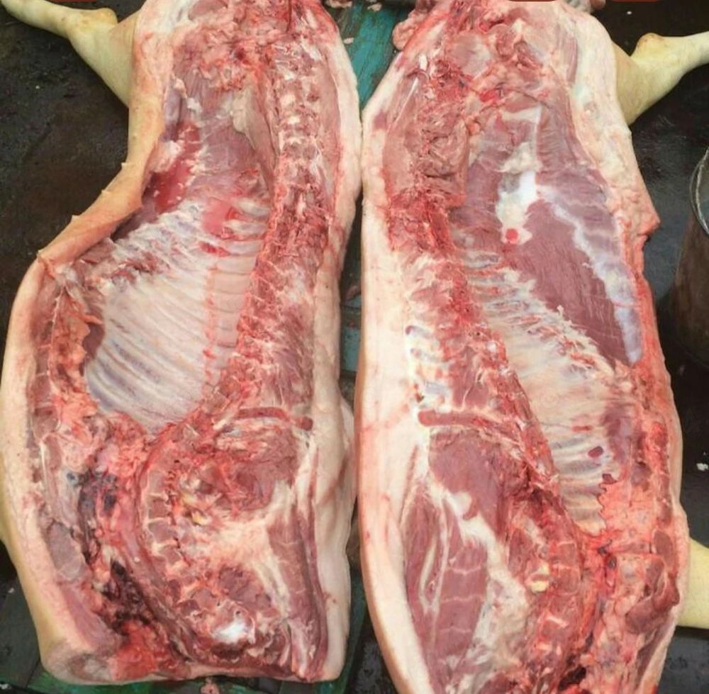 Vând carcasă porc   15 lei kg      