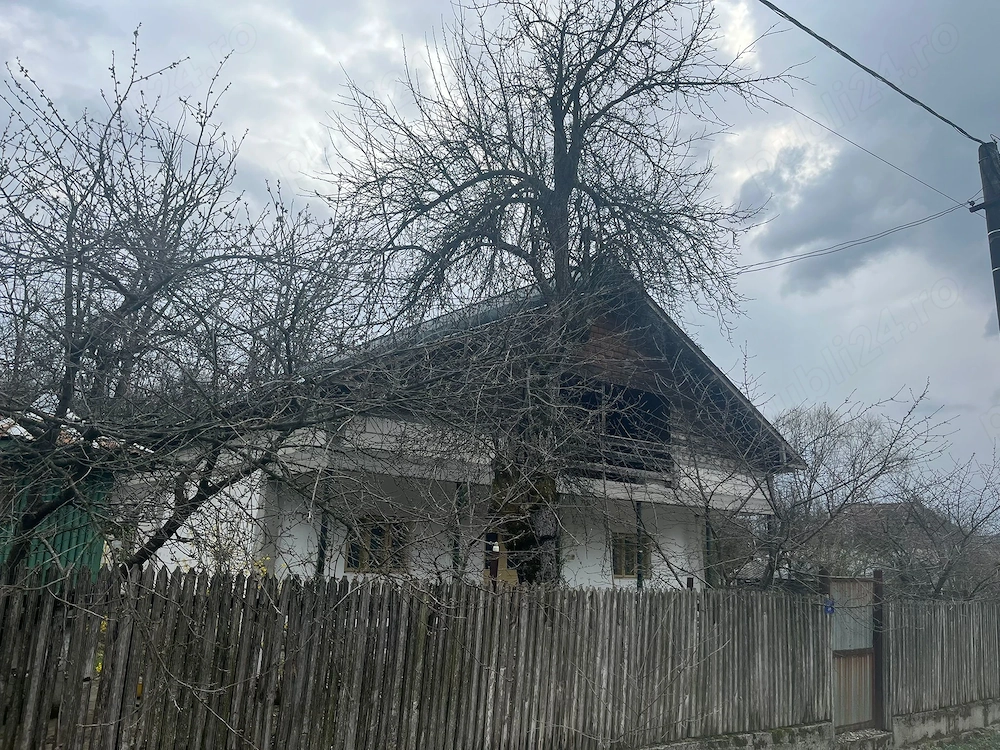 Gospodărie 2 case cu teren 5000m