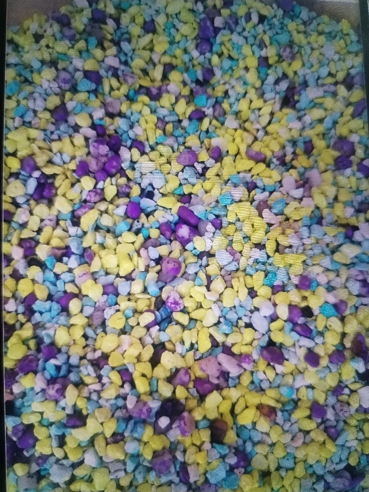 Pietris acvariu pesti