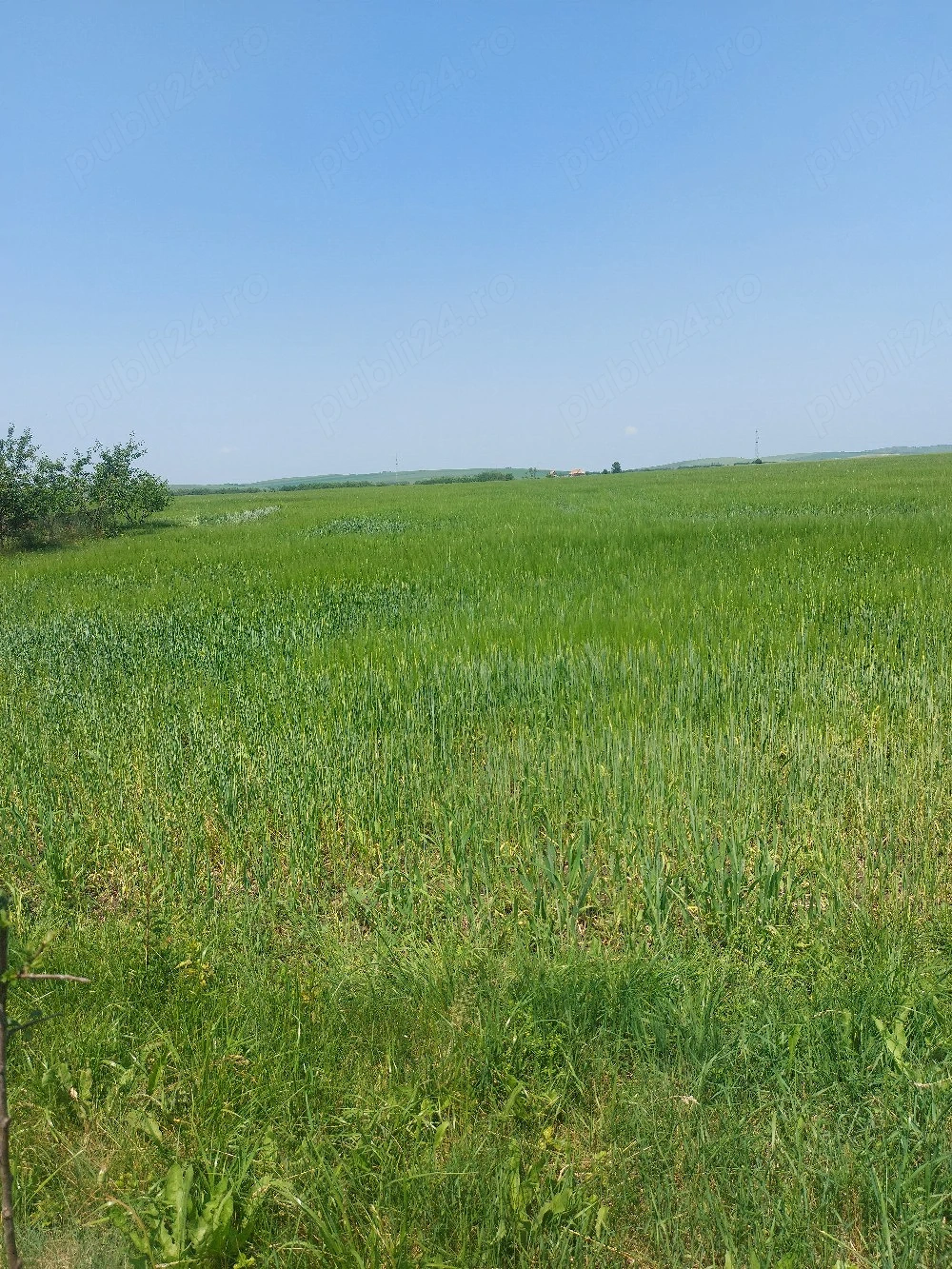 vand pamant extravilan 20.000 m 