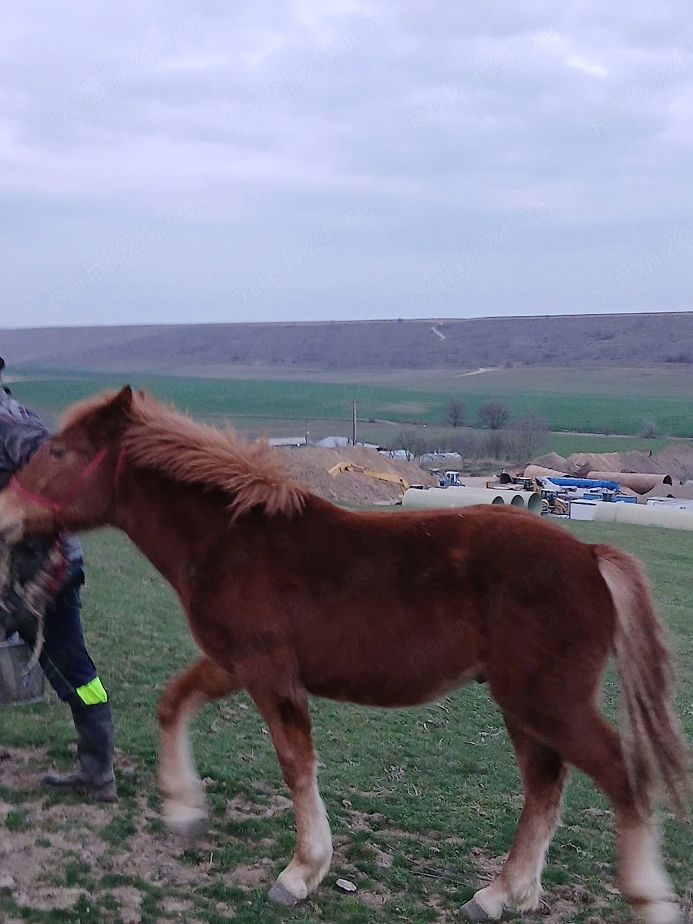 Vând Manz semi greu