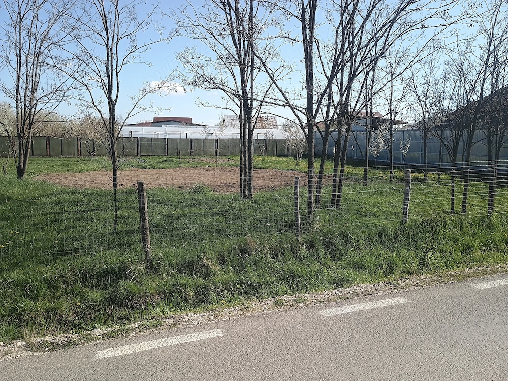 Vând teren. Loc Moșoaia str. Olteni. 1300mp. Poziție deosebita la strada deschidere 45m.utilitati.
