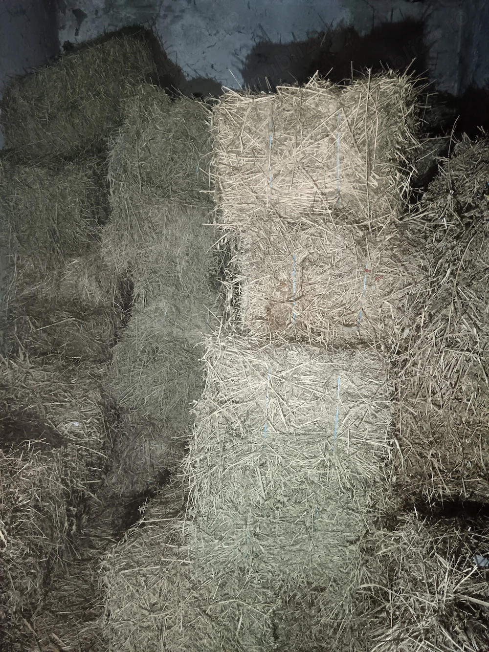 Baloți de lucernă de vânzare 